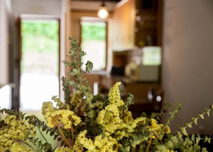 Apartamento La Casa Del Maestro Apartamento