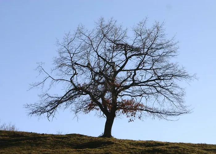 Apartamento La Casa Del Maestro *