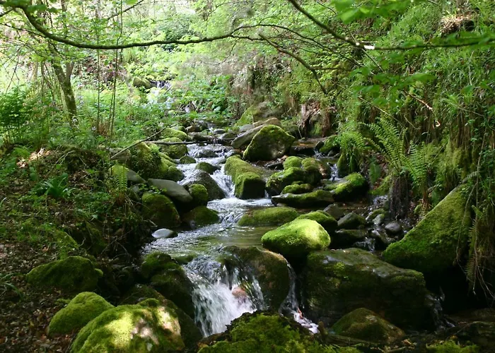 Apartamento Apartamento La Casa Del Maestro